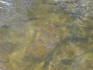 P1010039.JPG