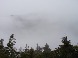 P1010047.JPG
