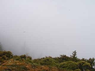 P1010050.JPG