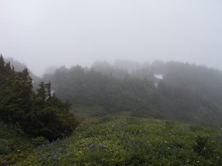P1010052.JPG