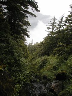 P1010055.JPG