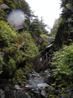 P1010056.JPG