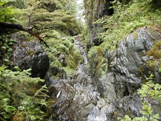 P1010059.JPG