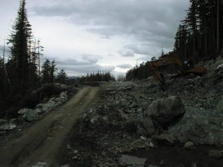 PIC00004.JPG