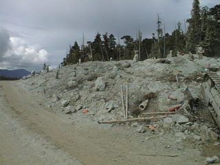 PIC00007.JPG