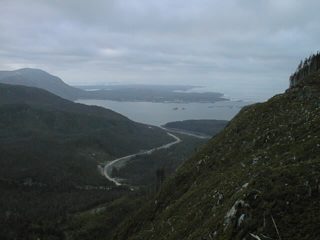 PIC00010.JPG