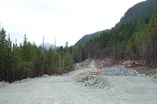 19 June - 12+1 - 1.JPG