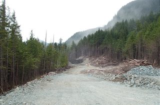19 June - 12+1 - 16.JPG