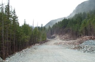 19 June - 12+1 - 17.JPG
