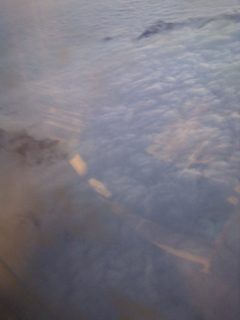 IMG-20110613-00099.jpg