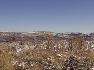 IMG-20111216-00049.jpg