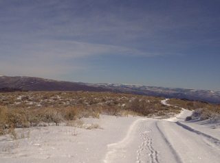 IMG-20111216-00051.jpg