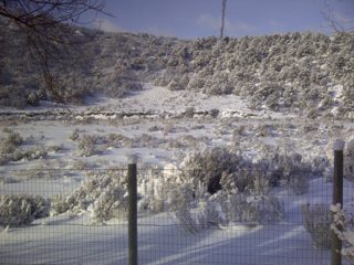IMG-20121225-00020.jpg