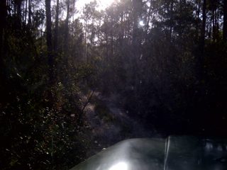 IMG-20130421-00104.jpg