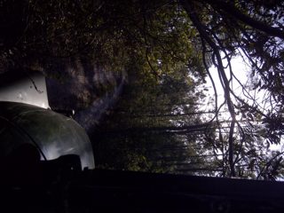 IMG-20130421-00107.jpg