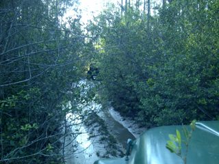 IMG-20130421-00108.jpg