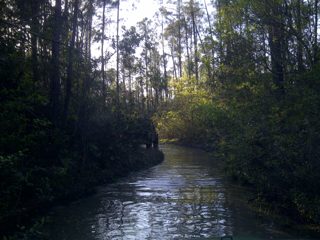 IMG-20130421-00109.jpg