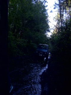 IMG-20130421-00113.jpg