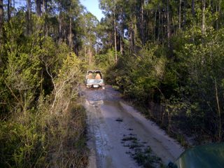IMG-20130421-00115.jpg