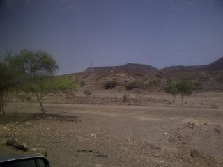 IMG-20130810-00175.jpg