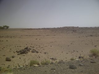 IMG-20130810-00186.jpg