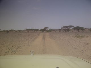 IMG-20130810-00205.jpg