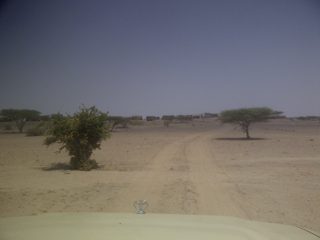 IMG-20130810-00206.jpg