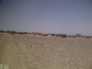 IMG-20130810-00223.jpg