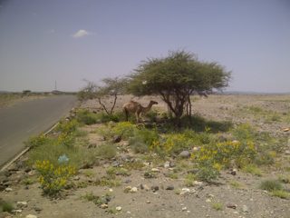 IMG-20130920-00248.jpg