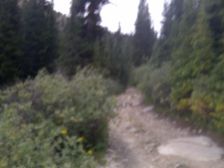 IMG-20140821-00334.jpg
