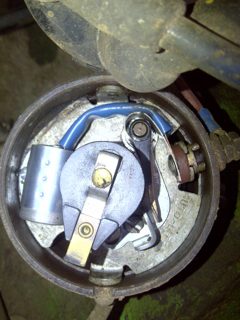 IMG-20141116-00370.jpg