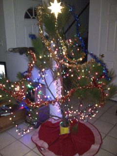 IMG-20141220-00377.jpg