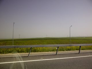 IMG-20150307-00573.jpg
