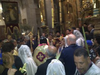 IMG-20150405-00867.jpg