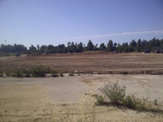 IMG-20150506-00975.jpg