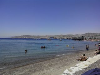 IMG_20150516_120231.jpg