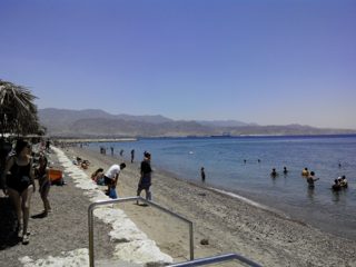 IMG_20150516_120240.jpg