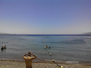 IMG_20150516_120246.jpg