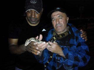 IMG_20150524_025519.jpg