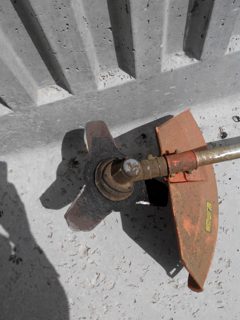 IMG_20150526_100831.jpg