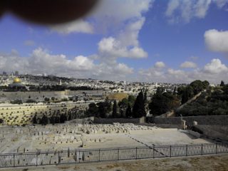 IMG_20150620_091358.jpg