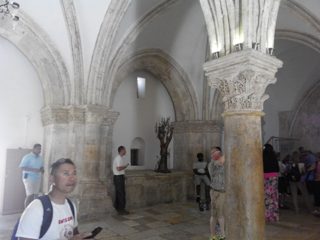IMG_20150620_120652.jpg