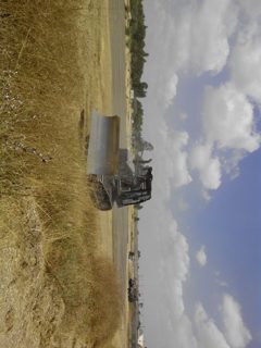 IMG_20150626_125706.jpg