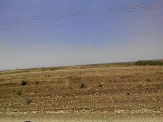 IMG_20150704_124654.jpg