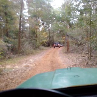 IMG_20151121_152529.jpg