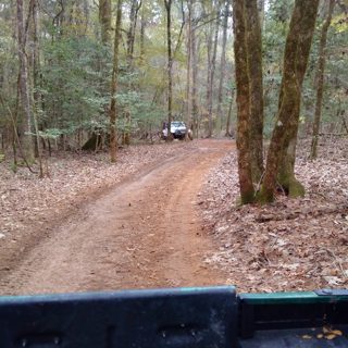 IMG_20151121_155212.jpg