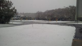 IMG_20160212_155137.jpg