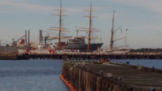 IMG_20160311_155245.jpg