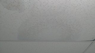 IMG_20160801_072420.jpg