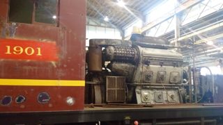 IMG_20160926_144828.jpg